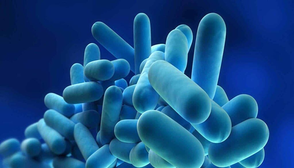 La Legionella è un microrganismo capace di causare malattie respiratorie gravi. Questa minaccia potenzialmente letale può essere però evitata con la giusta attenzione e le misure preventive adeguate.
